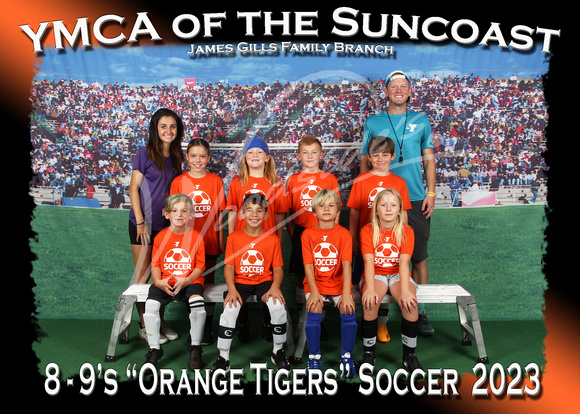 205- 8-9 Orange Tigers