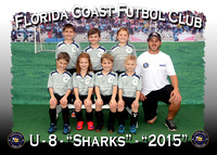 Florida Coast Futbol Club 2015