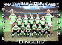 Shady Hills Little League Spring 2023