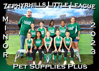 Zephyrhills Little League Softball Spring 2023