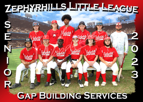 113- Senior Gap Building Services