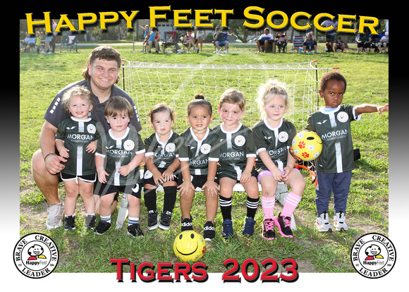 109- 2YO Tigers