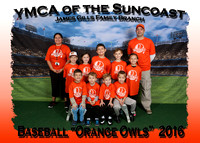 Gill's YMCA Baseball 2-13-16