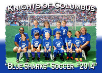 Knights of Columbus Soccer 2014