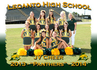 Lecanto High Cheerleaders 2013-2014
