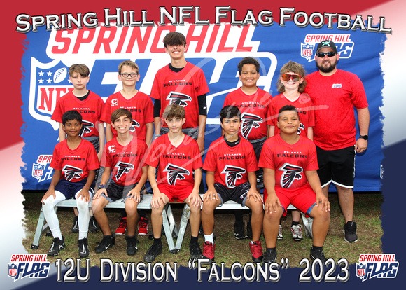 189- 12U Falcons