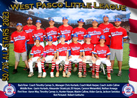 West Pasco Little League ALL STARS 2023