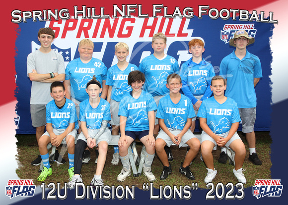 183- 12U Lions
