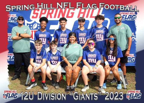 191- 12U Giants