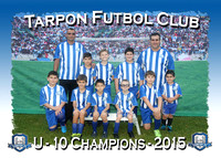 Tarpon Futbol Club 2015