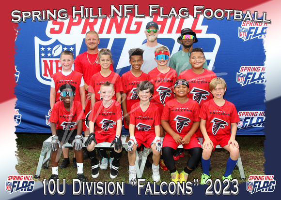151- 10U Falcons