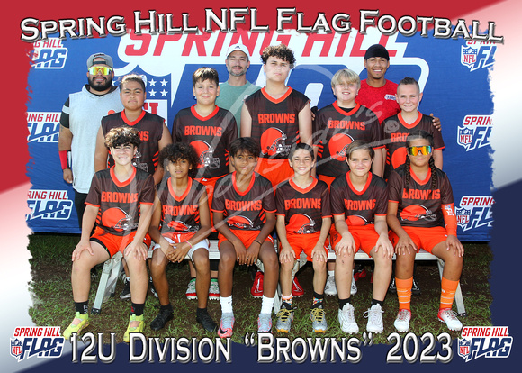 133- 12U Browns