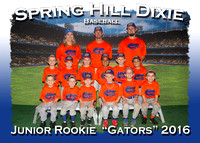 Spring Hill Dixie Spring Ball 2016