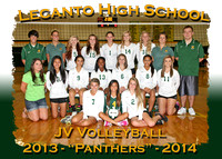 Lecanto High Volleyball 2013-14