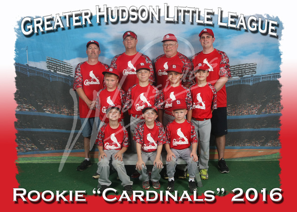 203 Rookie Cardinals