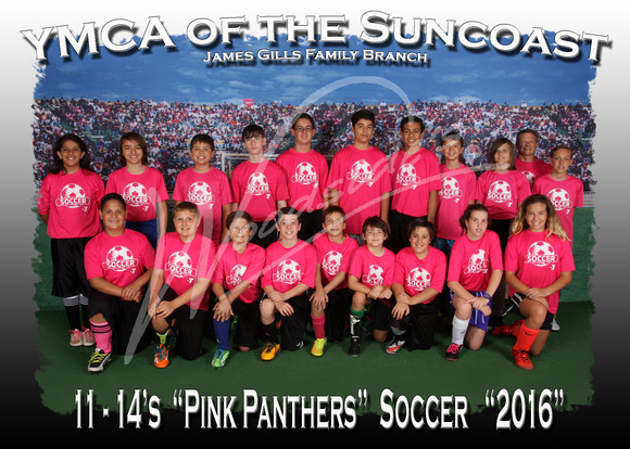 114- Pink Panthers