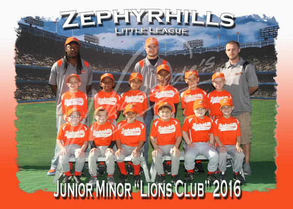 214 Jr Minor Lions