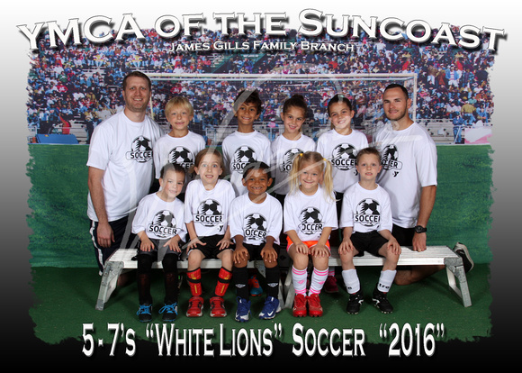 113- White Lions