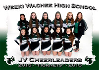 Weeki Wachee HS Cheerleading 2015-2016