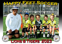 Happy Feet South Tampa July 2023