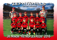 Zephyrhills LL Spring 2016