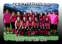 Zephyrhills LL Softball Spring 2016