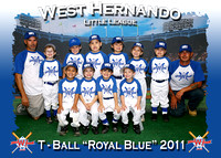 West Hernando Little League T-BALL 3-5-2011