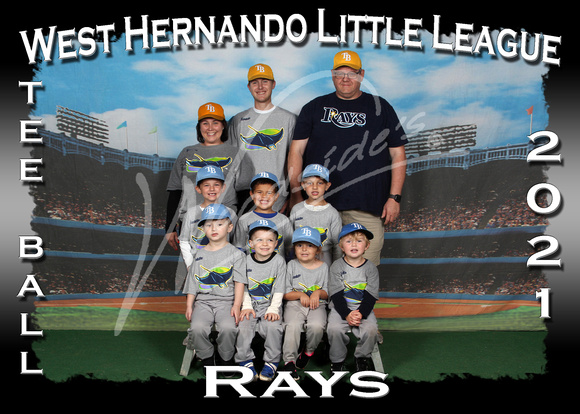 115- Tee Ball Rays-Gray