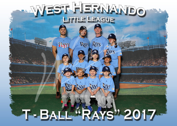 110- T Ball Rays Blue