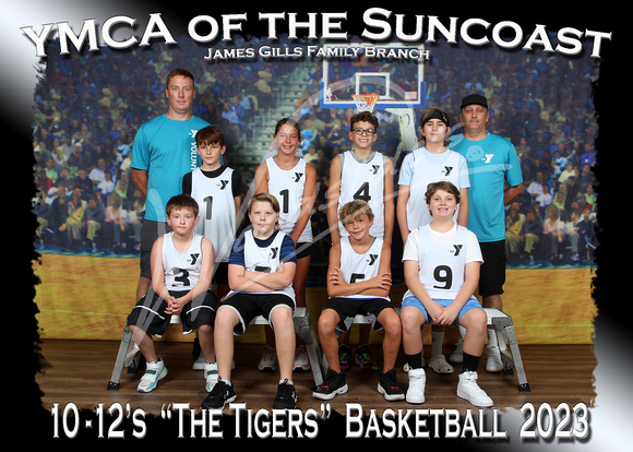 317- 10-12 The Tigers