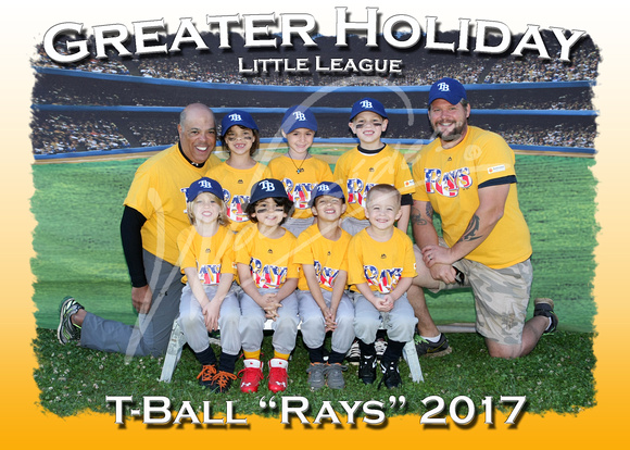 113- T-Ball Rays Yellow