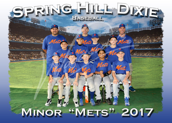 103- Minor Mets 5x7