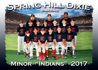 Spring Hill Dixie Spring Ball 2017
