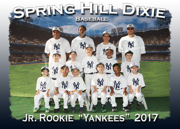 109- Jr Rookie Yankees 5x7