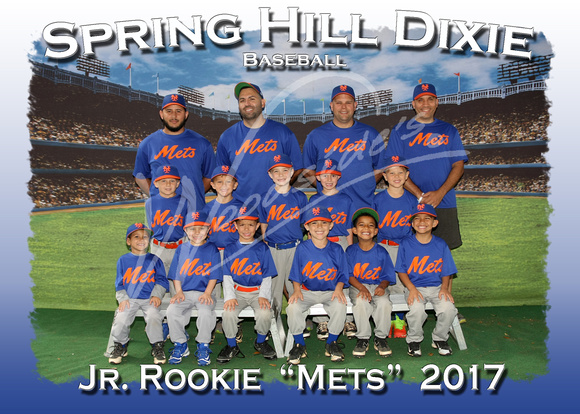 113- Jr Rookie Mets 5x7
