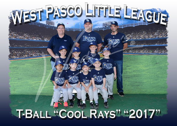 119- T-Ball Cool Rays Navy Blue