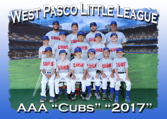 116- AAA Cubs