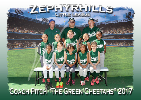 118- Coach Pitch The Green Cheetahs