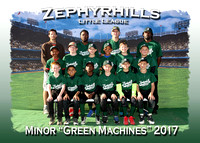 Zephyrhills LL Spring 2017