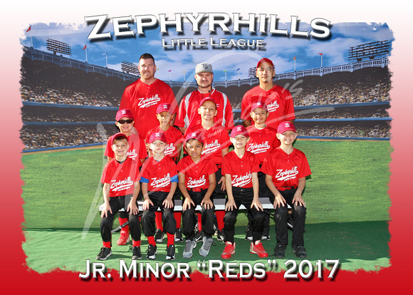 107- Jr Minor Reds