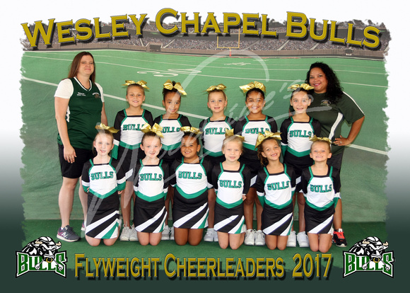 108- Flyweight Cheer