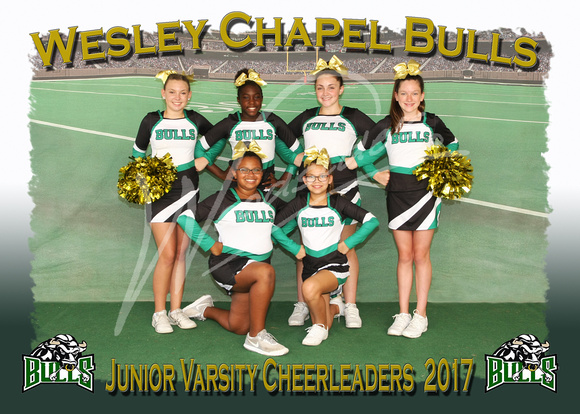118-Junior Varsity Cheer