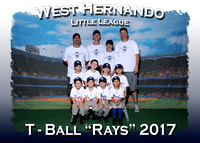 West Hernando LL T-Ball Fall 2017