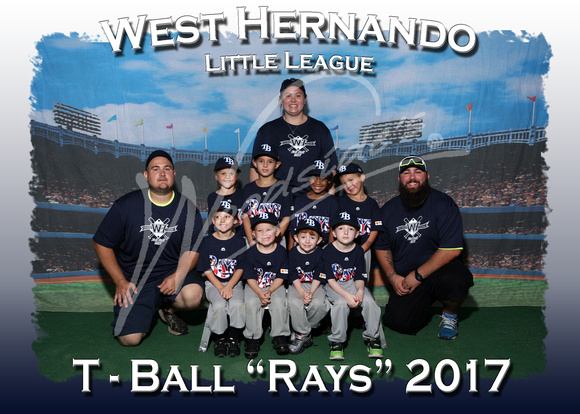 108- T-Ball Navy