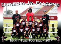 Dunedin Jr. Falcons Football 2017