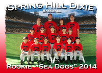 Spring Hill Dixie Baseball Fall 2014