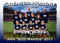 Greater Holiday LL Fall 2017