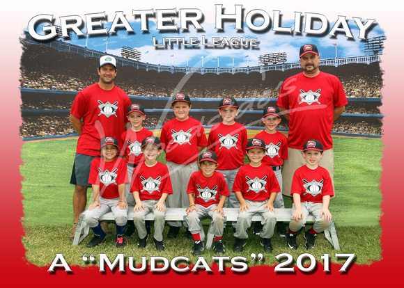 129- A Mudcats