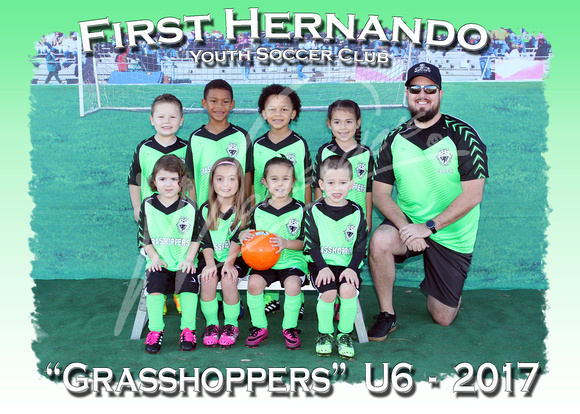 111- Grasshoppers