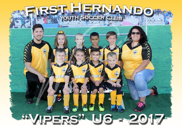 115- Vipers